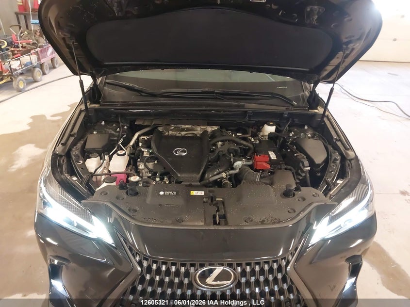 2025 Lexus Nx 350 VIN: 2T2GGCEZ0SC069181 Lot: 12605321