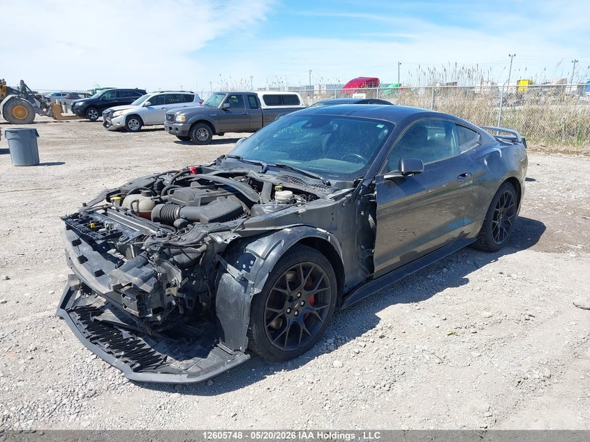 2019 FORD MUSTANG CABRIO 2.3L I-4 DI, DOHC, VVT, TURBO, 310HP