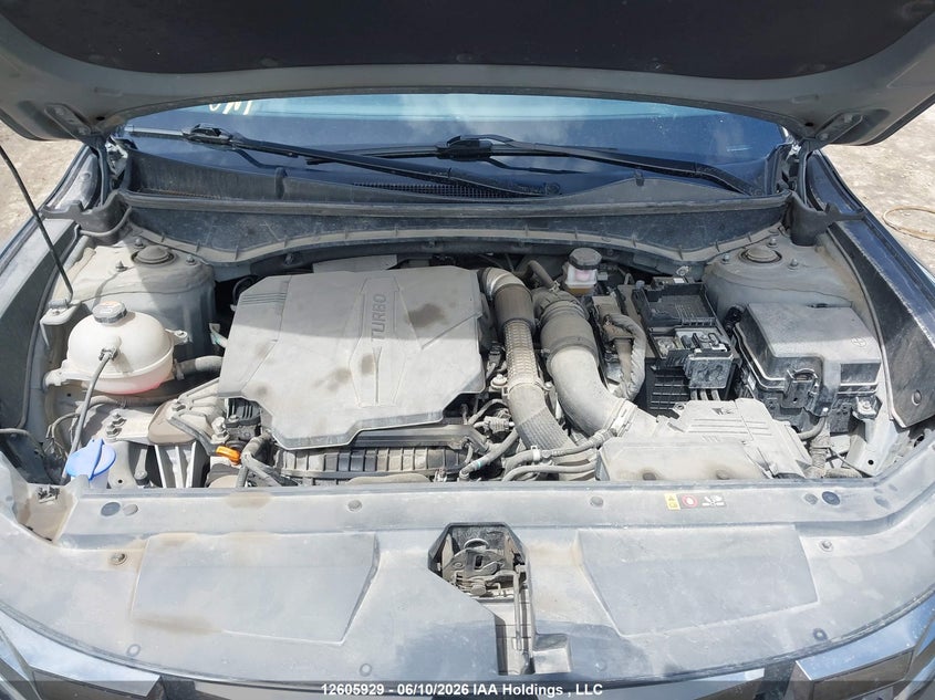 2023 Hyundai Santa Cruz Limited VIN: 5NTJEDAF8PH067461 Lot: 12605929
