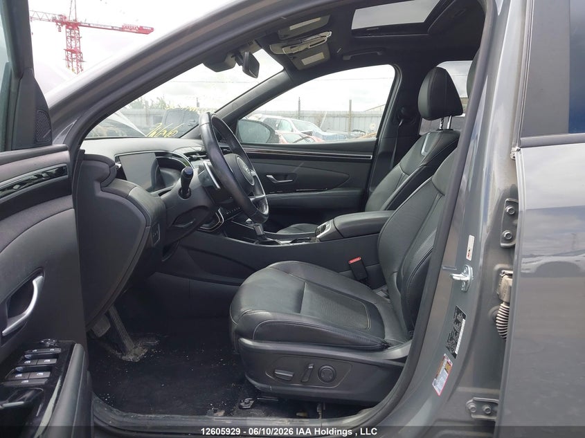 2023 Hyundai Santa Cruz Limited VIN: 5NTJEDAF8PH067461 Lot: 12605929