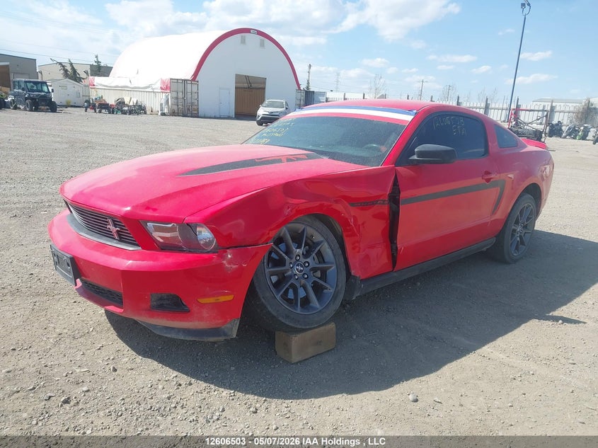2012 Ford Mustang V6 Premium VIN: 1ZVBP8AM9C5211769 Lot: 12606503
