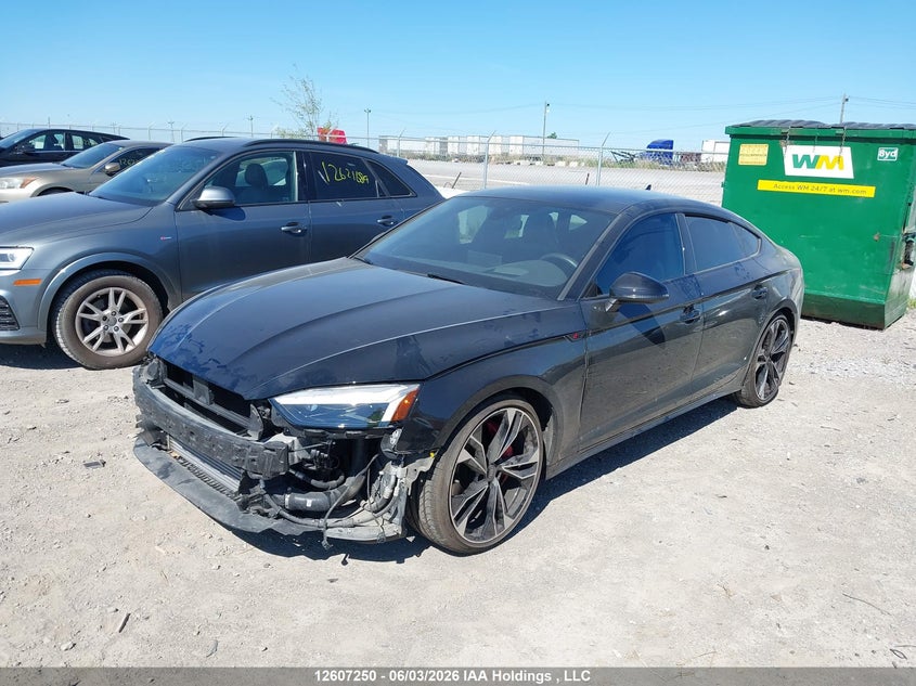 2023 Audi S5, Front, IAAI, VIN WAUB4CF50PA055843 — photo 2