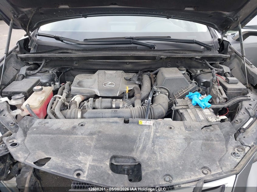 2021 Lexus Nx 300 VIN: JTJGARDZXM2244433 Lot: 12608261