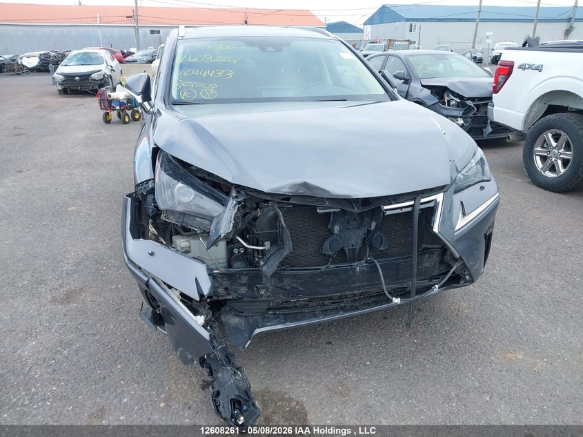 2021 Lexus Nx 300 VIN: JTJGARDZXM2244433 Lot: 12608261