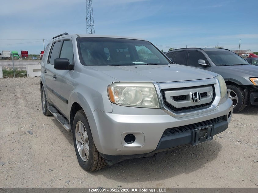 Vin: 5fnyf4h22bb505251, lot: 3007283, honda pilot lx 2011 img_1