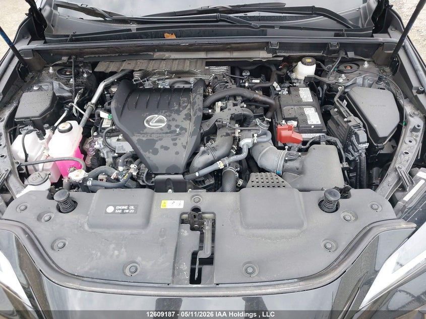 2025 Lexus Nx 350 Premium VIN: 2T2GGCEZ9SC076582 Lot: 12609187