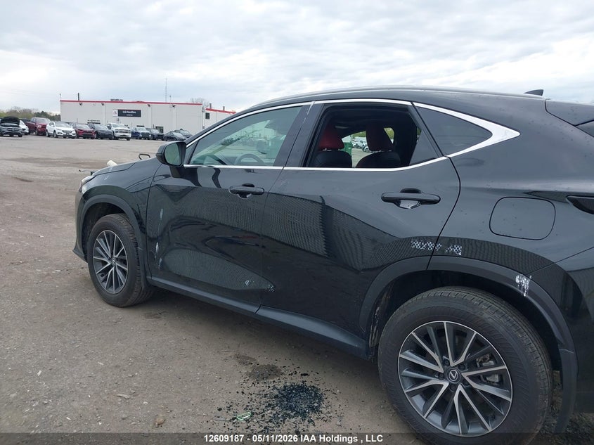 2025 Lexus Nx 350 Premium VIN: 2T2GGCEZ9SC076582 Lot: 12609187