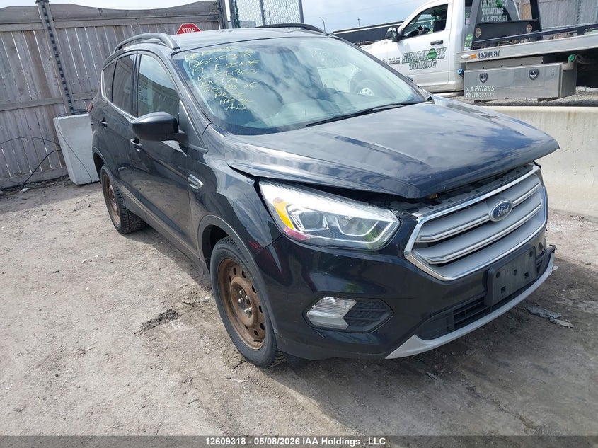 Vin: 1fmcu9hd3kuc41863, lot: 3007592, ford escape sel 2019 img_1