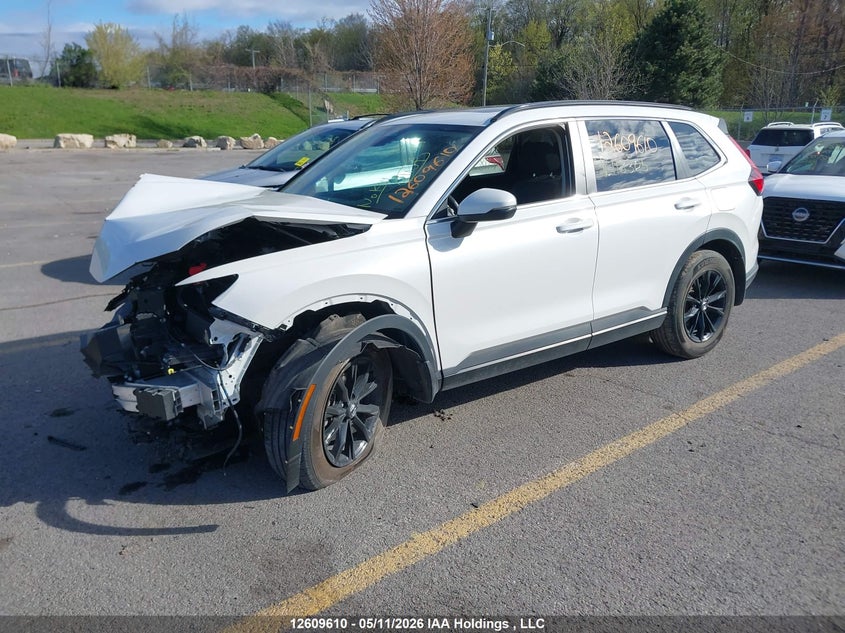 Vin: 2hkrs4h56rh118305, lot: 3007902, honda cr-v 20242