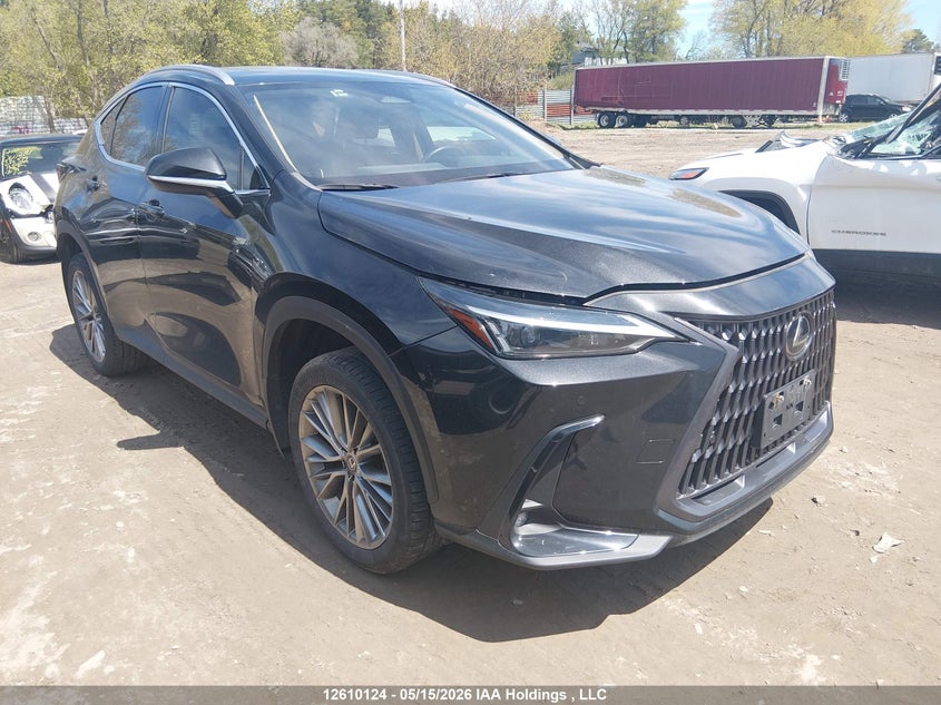 2024 LEXUS NX 350H 350H 2.5L I-4 DI, DOHC, VVT, 189HP