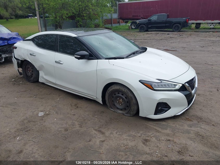 Vin: 1n4aa6fv7mc508810, lot: 3008603, nissan maxima platinum 2021 img_1