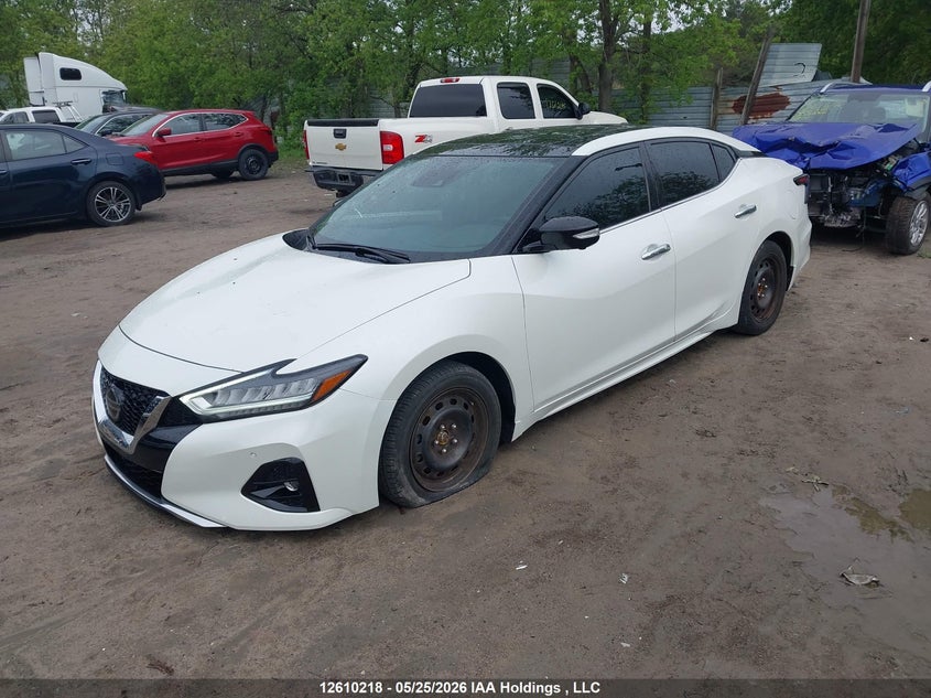 Vin: 1n4aa6fv7mc508810, lot: 3008603, nissan maxima platinum 20212