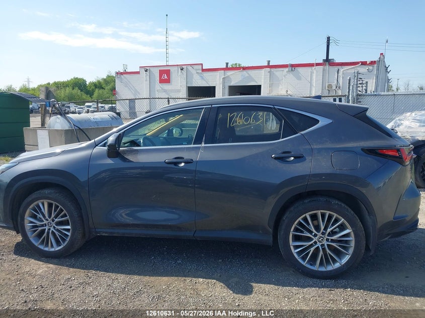 2025 Lexus Nx 350H 350H VIN: 2T2GKCEZXSC034484 Lot: 12610631