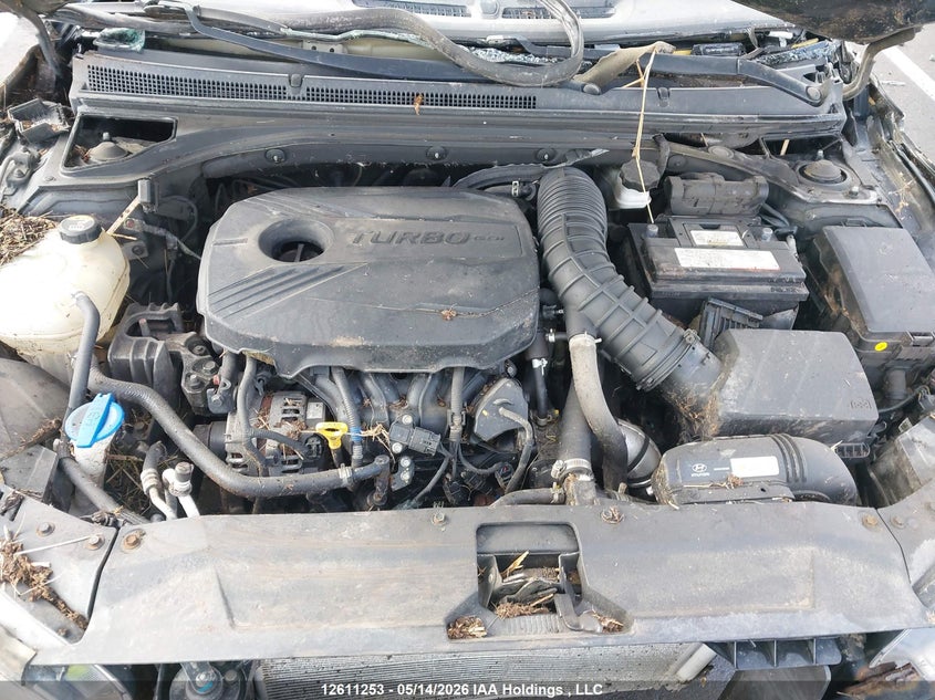 2020 Hyundai Veloster Turbo Manual With Sandstorm Leather VIN: KMHTH6AB0LU025143 Lot: 12611253