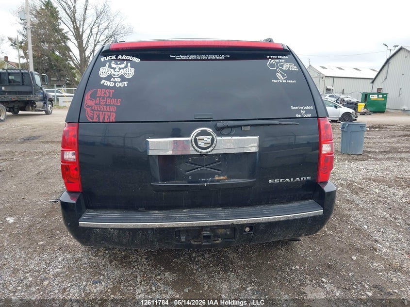 2007 Cadillac Escalade Standard VIN: 1GYFK63887R385834 Lot: 12611784
