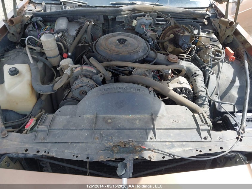 1979 Oldsmobile Delta 88 VIN: 3Y69RAX170763 Lot: 12612614