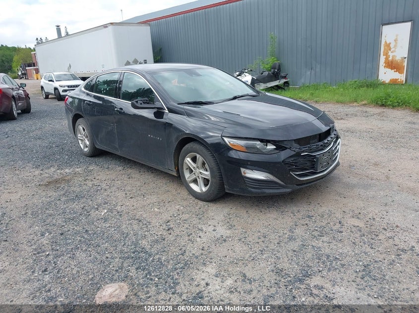 2024 Chevrolet Malibu Ls, Front, IAAI, VIN 1G1ZB5ST7RF157114