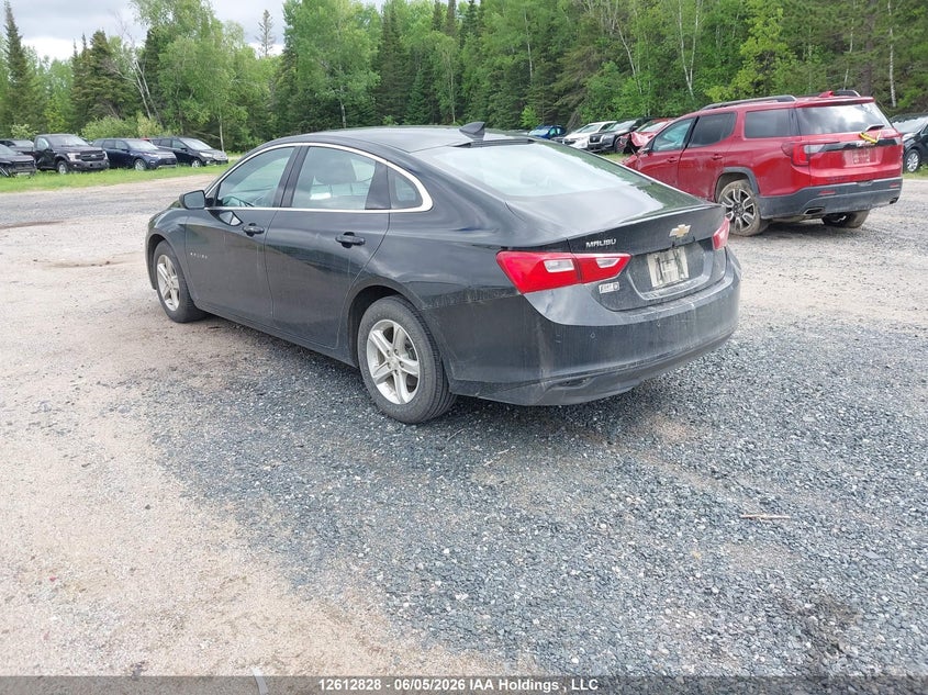 Vin: 1g1zb5st7rf157114, lot: 3011467, chevrolet malibu ls 20243