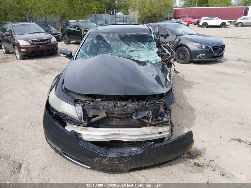 2012 Acura Tl VIN: 19UUA8F52CA800878 Lot: 12613308