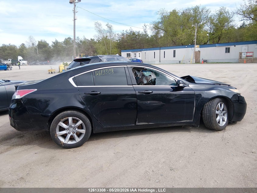 2012 Acura Tl VIN: 19UUA8F52CA800878 Lot: 12613308