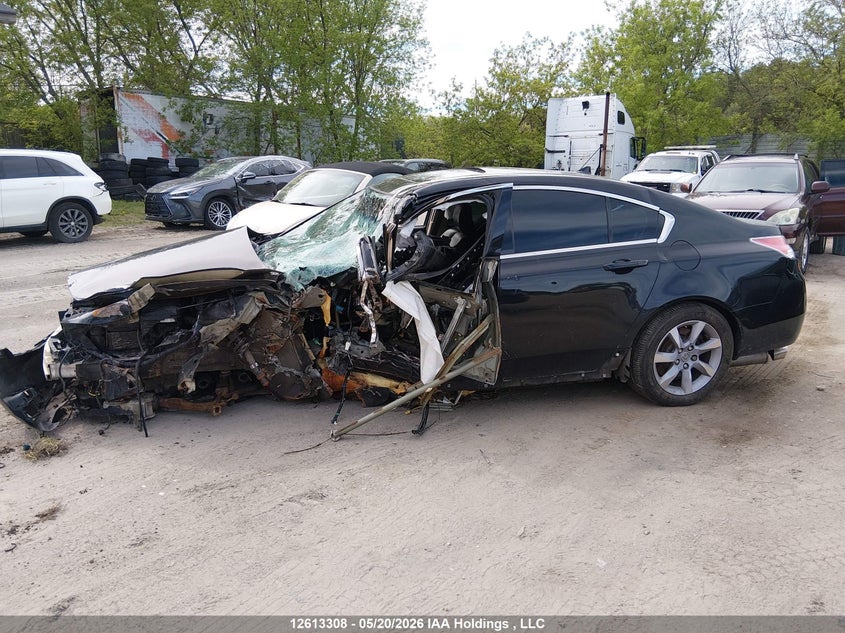 2012 Acura Tl VIN: 19UUA8F52CA800878 Lot: 12613308