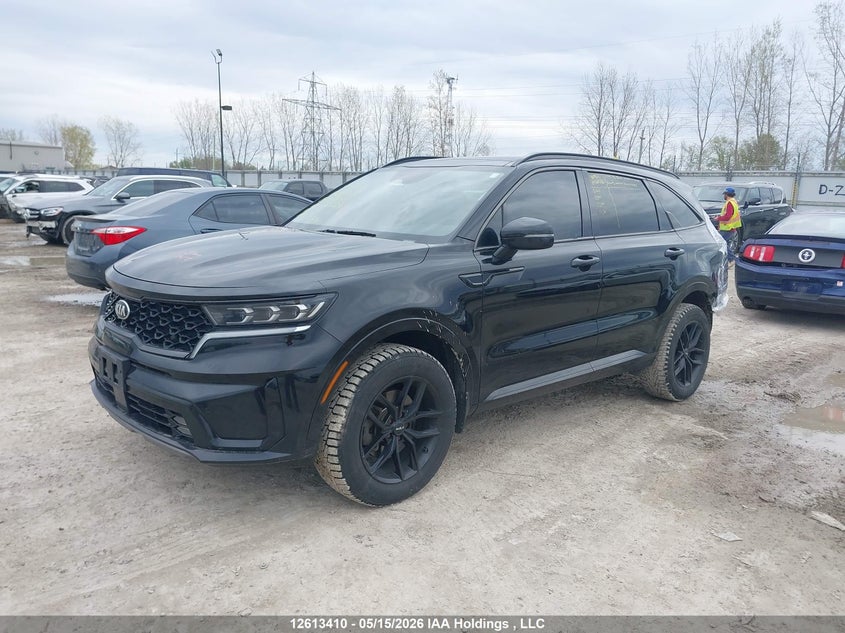 2021 Kia Sorento, Rear, IAAI, VIN 5XYRHDLF6MG063739 — photo 2