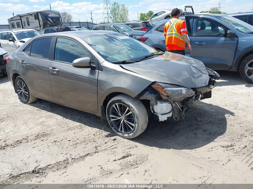 2019 TOYOTA COROLLA
