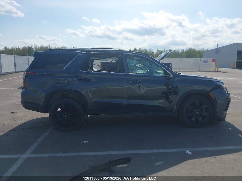 2025 Hyundai Palisade Xrt VIN: KM8R3DGE1SU939236 Lot: 12613580