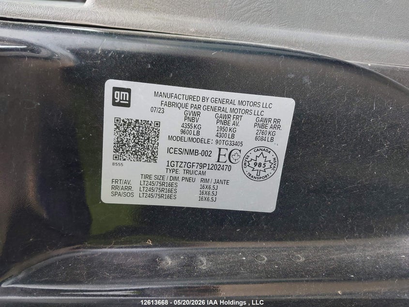2023 GMC Savana G3500 VIN: 1GTZ7GF79P1202470 Lot: 12613668