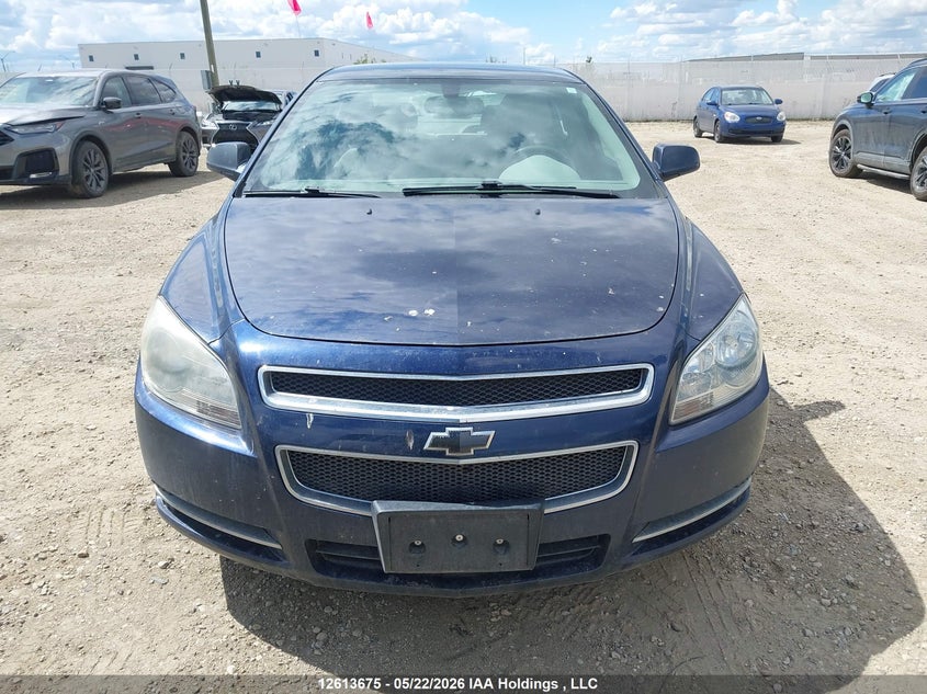 2010 Chevrolet Malibu Lt Platinum Edition VIN: 1G1ZD5E00AF225060 Lot: 12613675