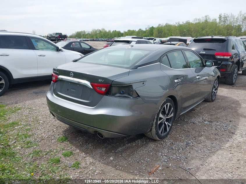 Vin: 1n4aa6ap9hc411977, lot: 3012697, nissan maxima platinum/s/sl/sr/sv 20174