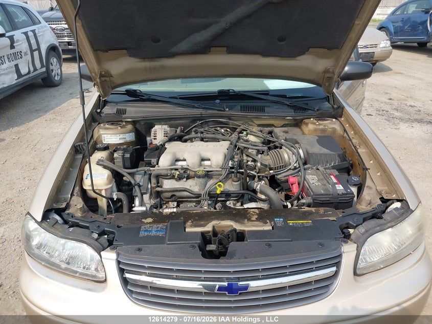 2002 Chevrolet Malibu VIN: 1G1ND52J22M525403 Lot: 12614279