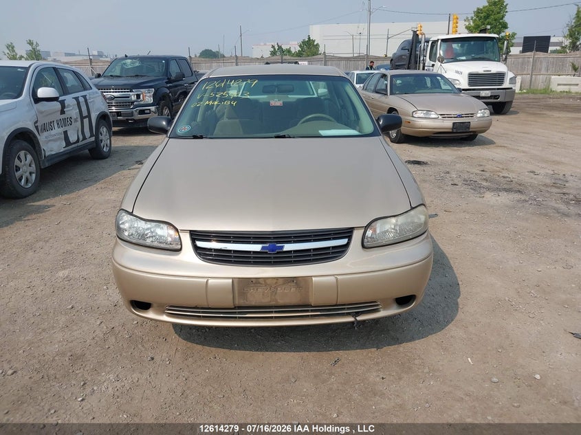 2002 Chevrolet Malibu VIN: 1G1ND52J22M525403 Lot: 12614279