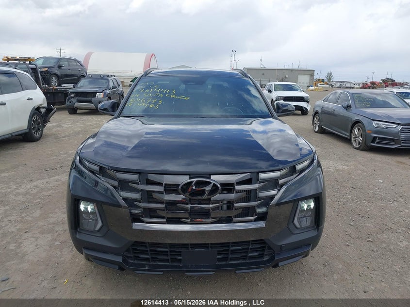 2024 Hyundai Santa Cruz Ultimate W/Colour Package VIN: 5NTJEDDF1RH116773 Lot: 12614413