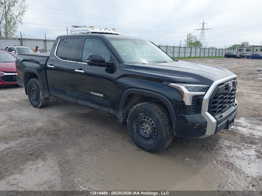 2023 TOYOTA TUNDRA