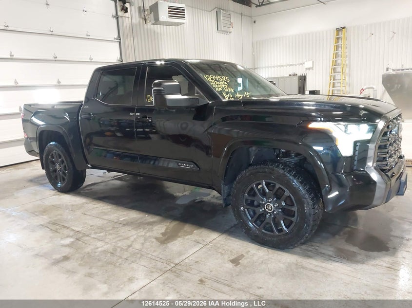 2022 Toyota Tundra Crewmax Platinum/Crewmax 1794 VIN: 5TFNA5DB9NX020595 Lot: 12614525