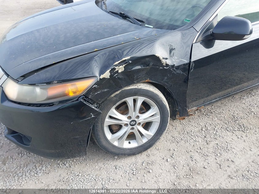 2010 Acura Tsx VIN: JH4CU2F65AC800123 Lot: 12614591