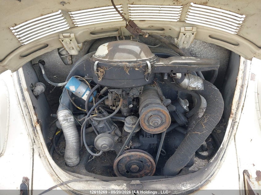 1971 Volkswagen Beetle VIN: 1112557632 Lot: 12615269