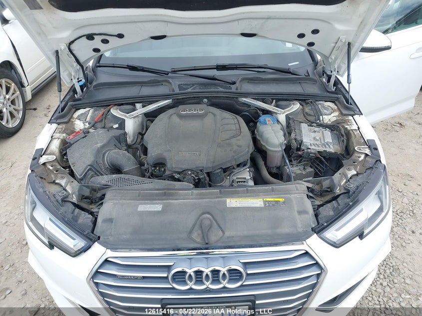 2019 Audi A4 VIN: WAUCNAF40KA010438 Lot: 12615416