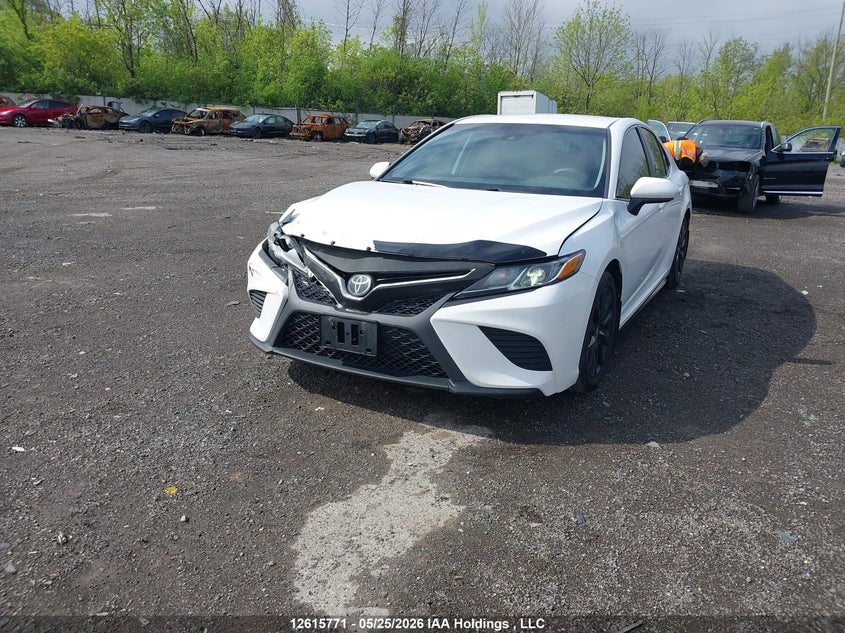2020 Toyota Camry Se/Se Night Shade, Front, IAAI, VIN 4T1G11AK4LU958567 — photo 2