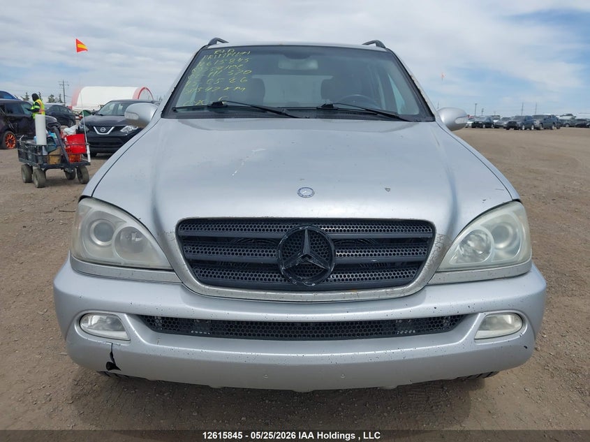 2002 Mercedes-Benz Ml 320 Classic 4Matic/Elegance 4Matic VIN: 4JGAB54E12A357102 Lot: 12615845