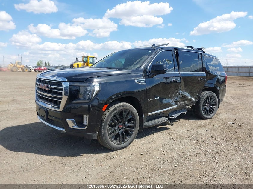2021 GMC Yukon Xl K1500 Slt, Left Side, IAAI, VIN 1GKS2GKD0MR438258 — photo 2