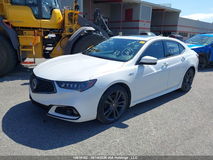 2020 Acura Tlx Advance/Pmc Edition, Угон, IAAI, VIN 19UUB3F81LA802177 — фото 2
