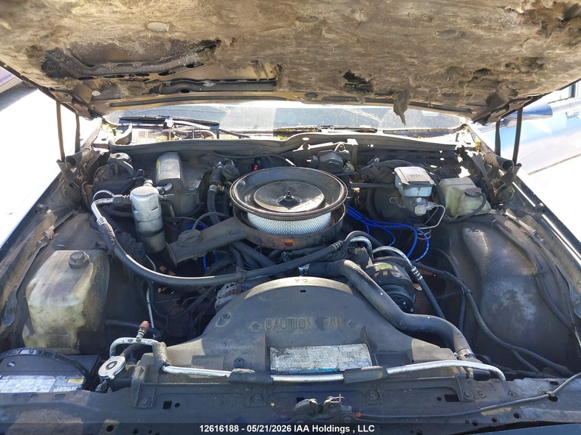 Lot image 10
