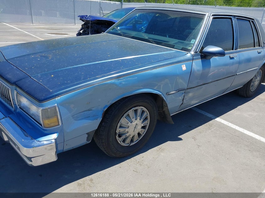 1988 Chevrolet Caprice VIN: 1G1BL51H8JR150784 Lot: 12616188