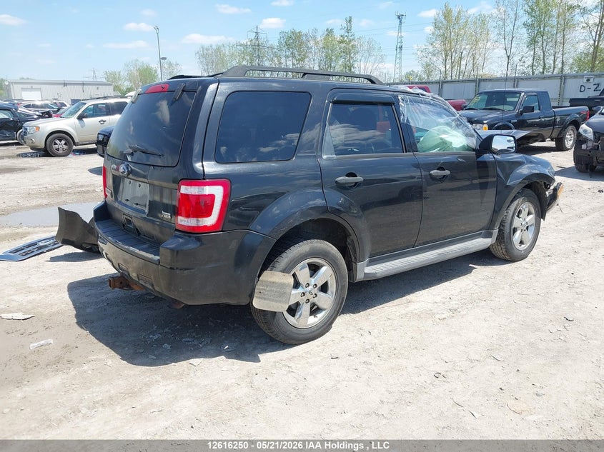 Vin: 1fmcu0dg8bkc15217, lot: 3015215, ford escape xlt 20114