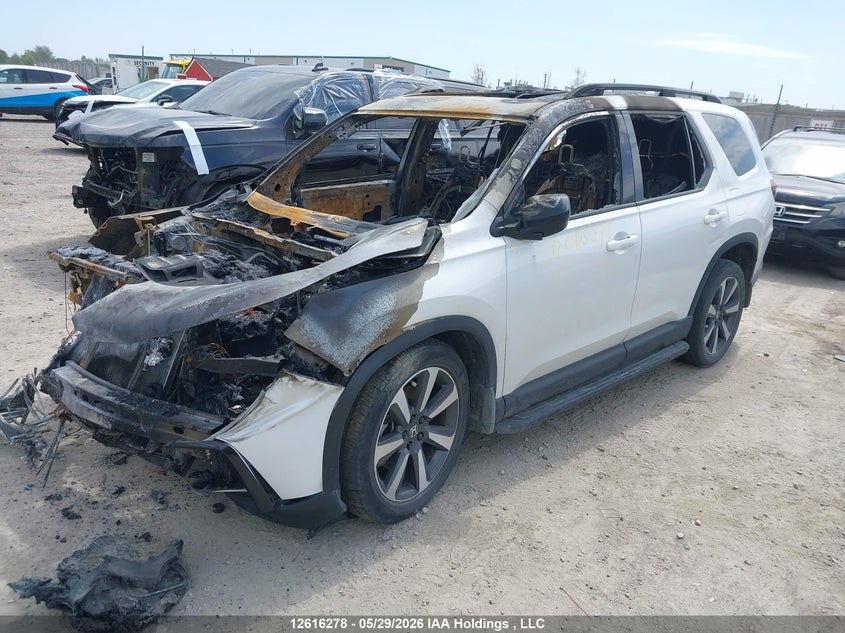 2024 Honda Pilot, Exterior Burn, IAAI, VIN 5FNYG1H88RB500596 — photo 2