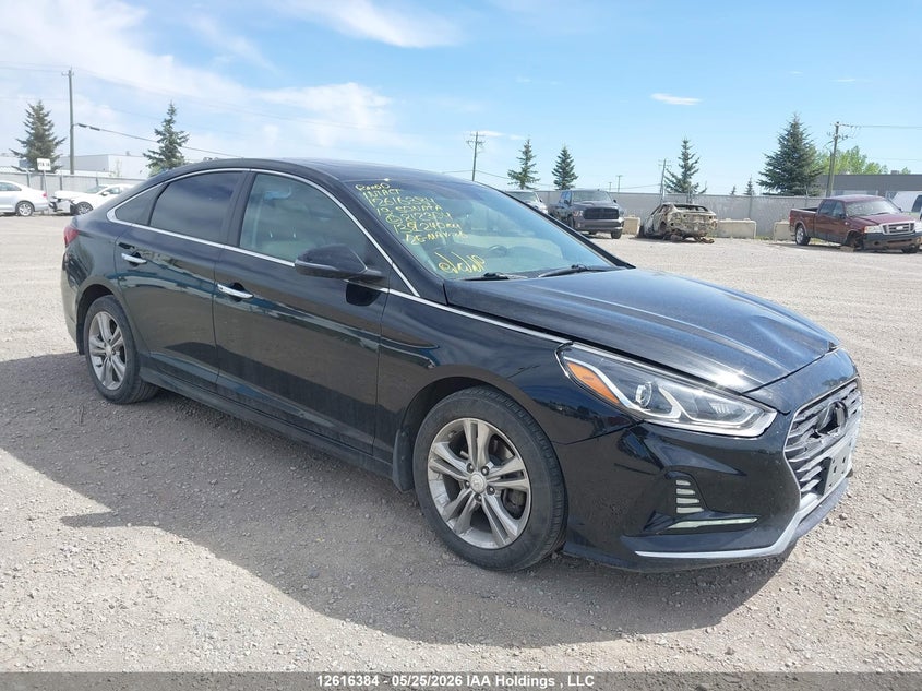 Vin: 5npe34af6kh812304, lot: 3015358, hyundai sonata limited/sel/sport 2019 img_1