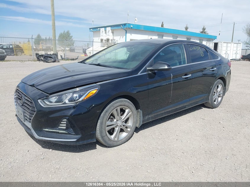 Vin: 5npe34af6kh812304, lot: 3015358, hyundai sonata limited/sel/sport 20192