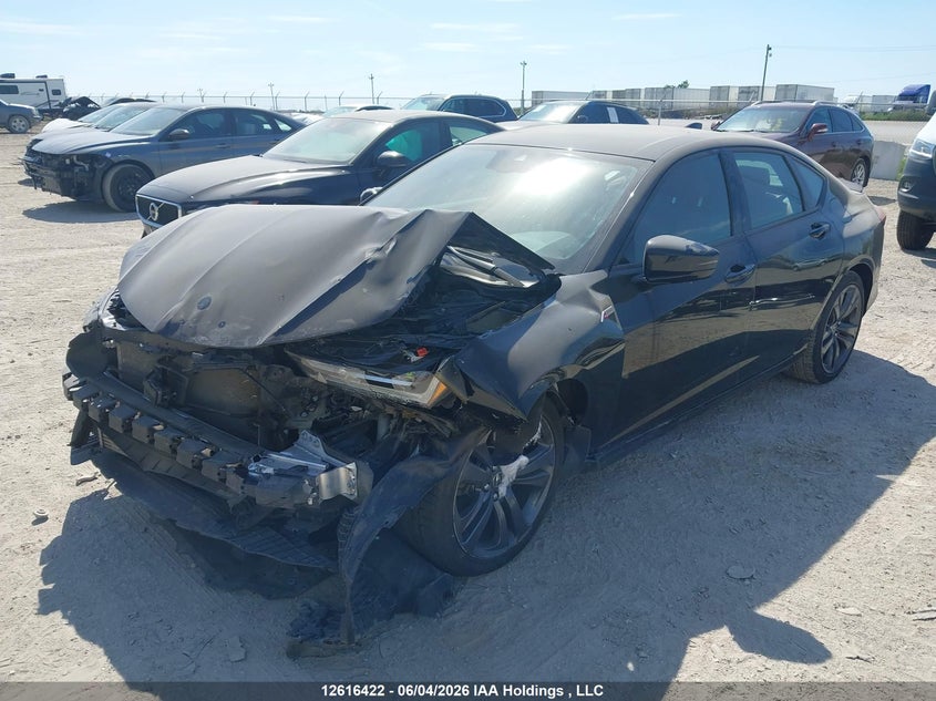 Vin: 19uub6f52na800173, lot: 3015396, acura tlx a-spec 20222